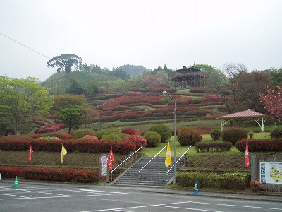 椎八重公園