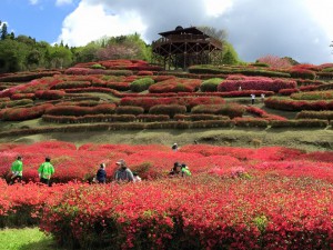 椎八重公園のセレモニー