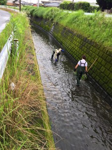 バイオコード移設作業