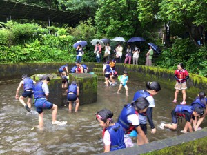 ヤマメつかみ取り