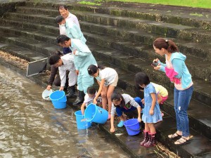 鹿屋市吾平町でヤマメ放流