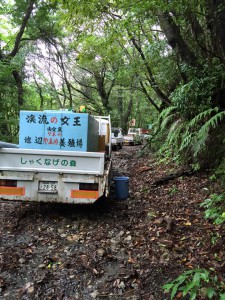 鹿屋市吾平町でヤマメ放流