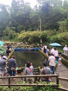 夏休み最後の日曜日