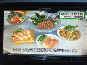 尺ヤマメ、MRTニュースで取り上げられました