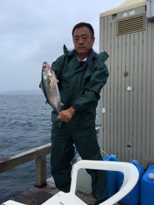 錦江湾で釣り