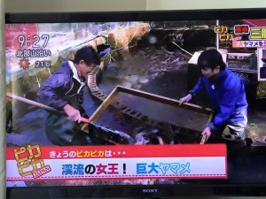 NHK「あさイチ」全国生放送！