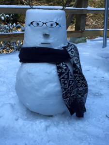 雪の思い出作り