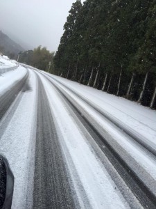 雪が降った