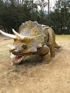 香川県三木町の太古の森公園