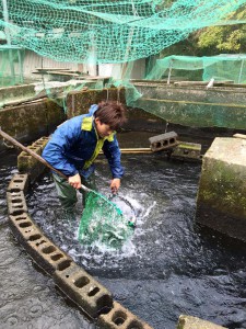 水行？筋トレ？