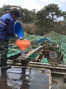 水行？筋トレ？