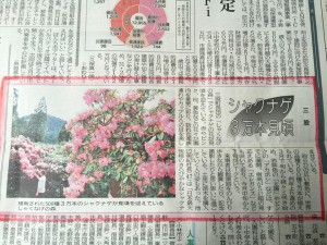 宮崎日日新聞にしゃくなげの森掲載