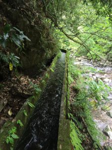 三股町ヤマメ釣り大会準備作業