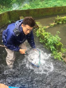 夏のヤマメ祭り準備作業