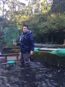 尺ヤマメの熟度鑑別作業