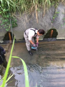 大淀川水質浄化プロジェクト