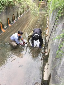 大淀川水質浄化プロジェクト