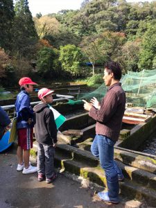 長田小学校ヤマメ採卵見学会