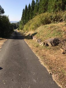 大八重公民館の奉仕作業