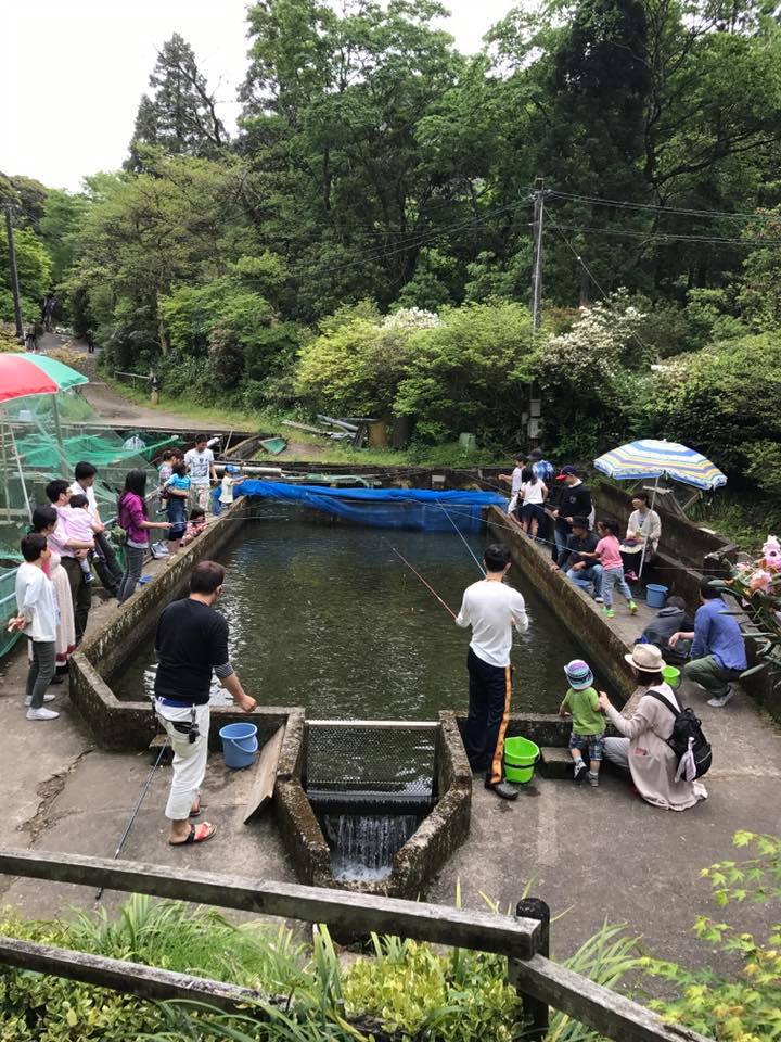 5月7日しゃくなげの森情報