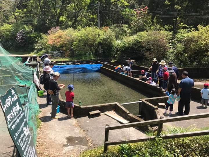 ヤマメ釣りが賑わっています