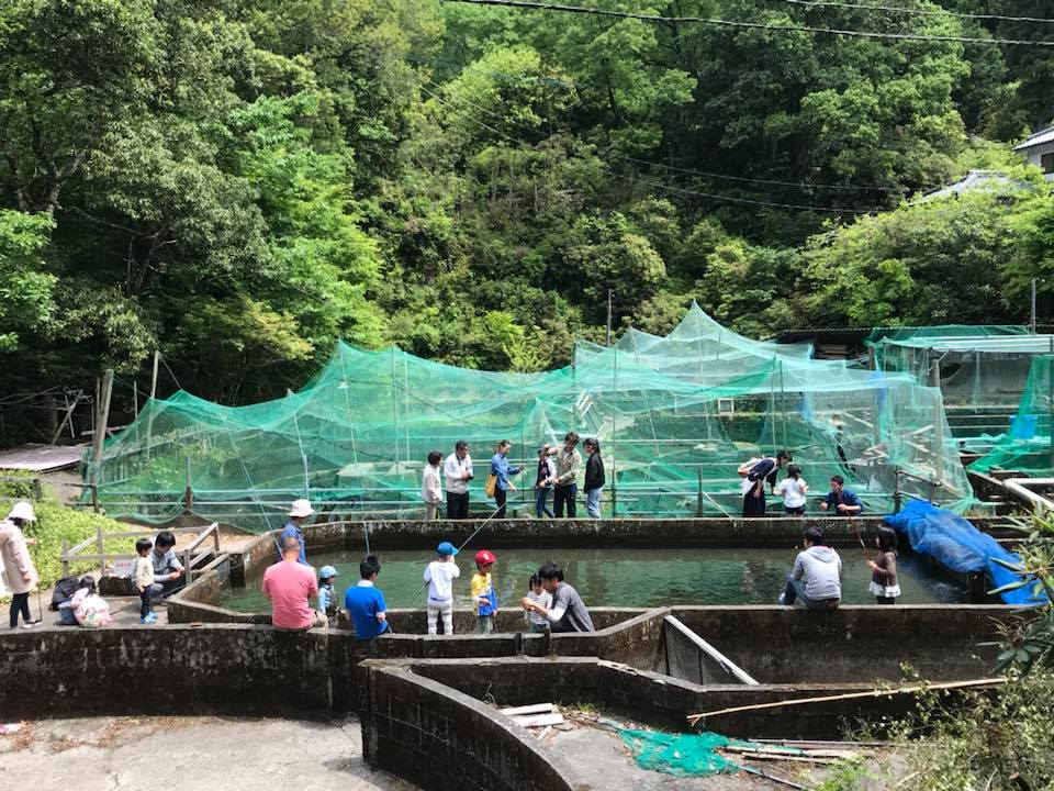 こどもの日にヤマメ釣り