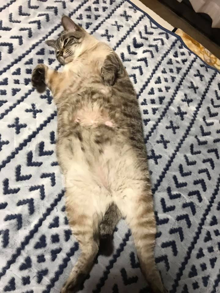 キキちゃん