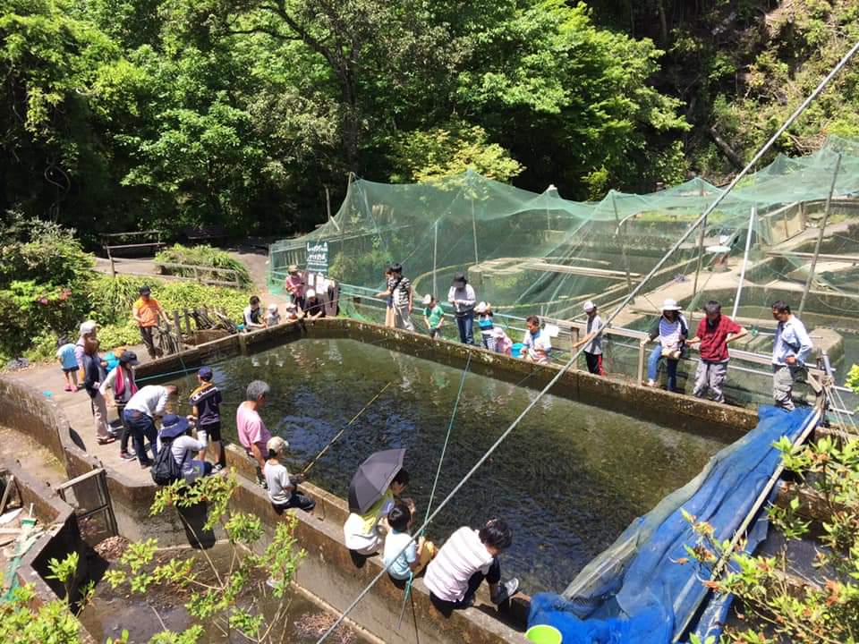 ヤマメ釣りが賑わっています