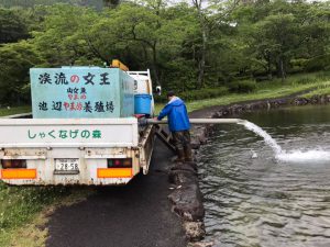 三股町ヤマメ釣り大会の準備