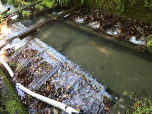 大雨後の土砂除去作業