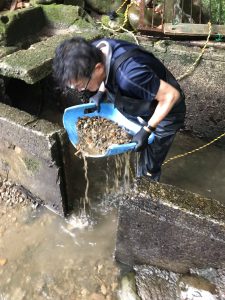 止水しての土砂除去作業