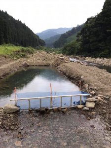 田野のヤマメ釣り大会の準備