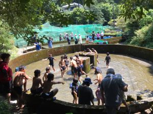 台風一過の川遊び安全教室