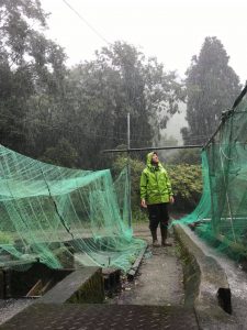 累加雨量400mm超え