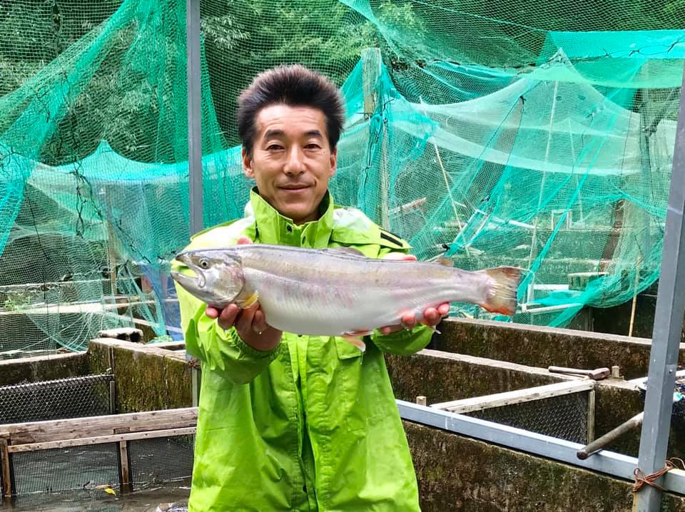 幻の尺ヤマメの出荷が順調です
