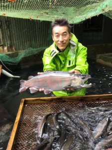 ヤマメ親魚の雌雄鑑別