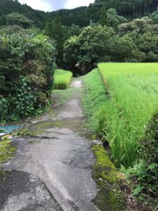 川活用イベント@長田地区