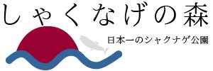 (公式)しゃくなげの森