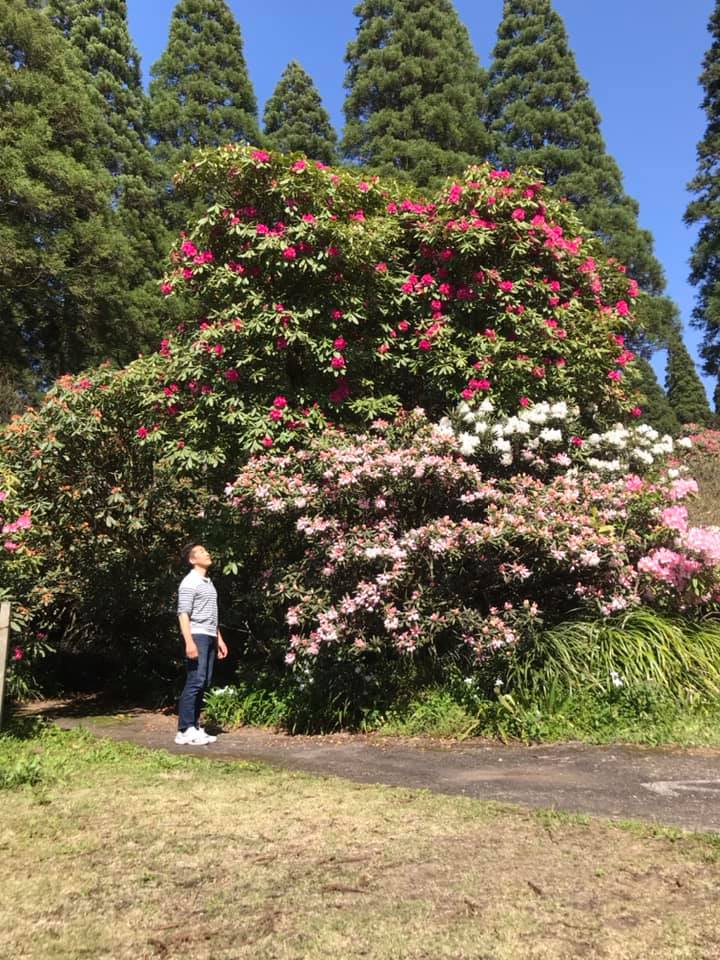 4月7日のしゃくなげの森開花情報