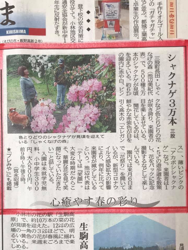 宮崎日日新聞に掲載されました