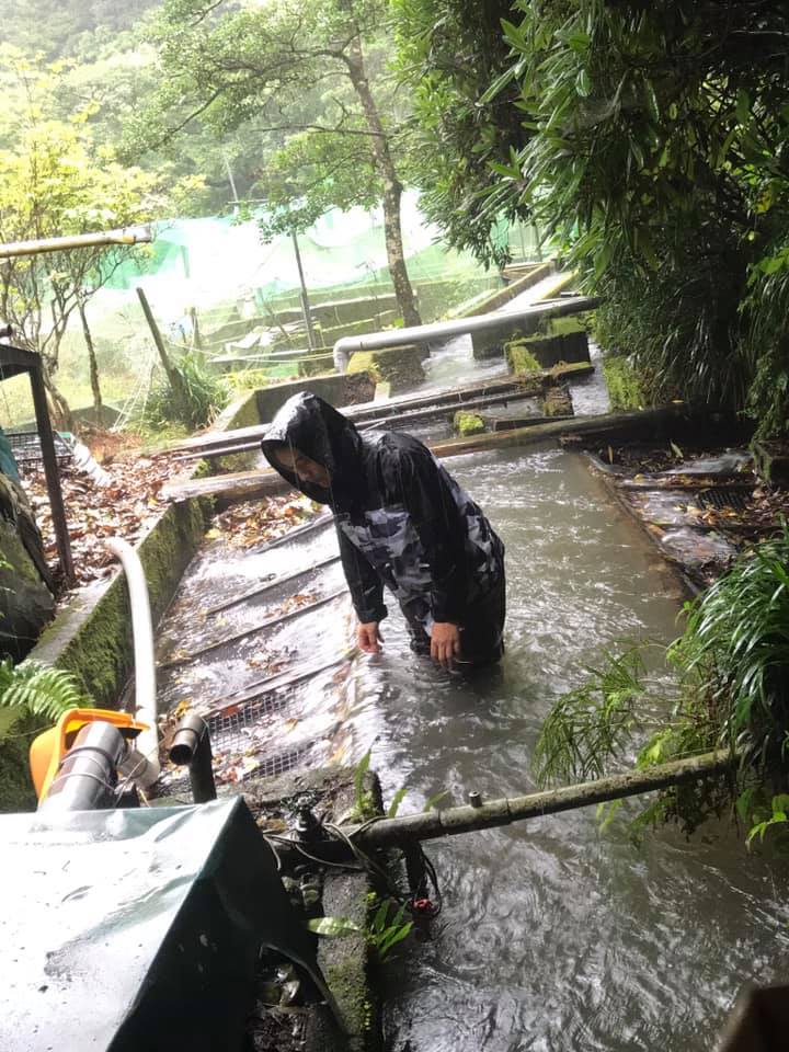 猛烈な雨