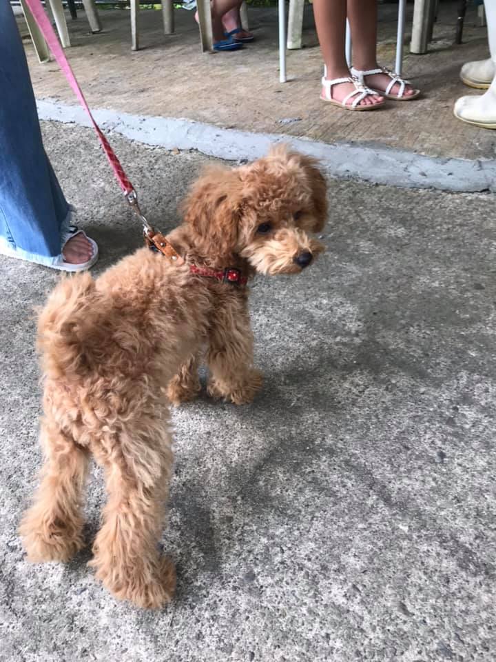 かわいいかわいいお客様