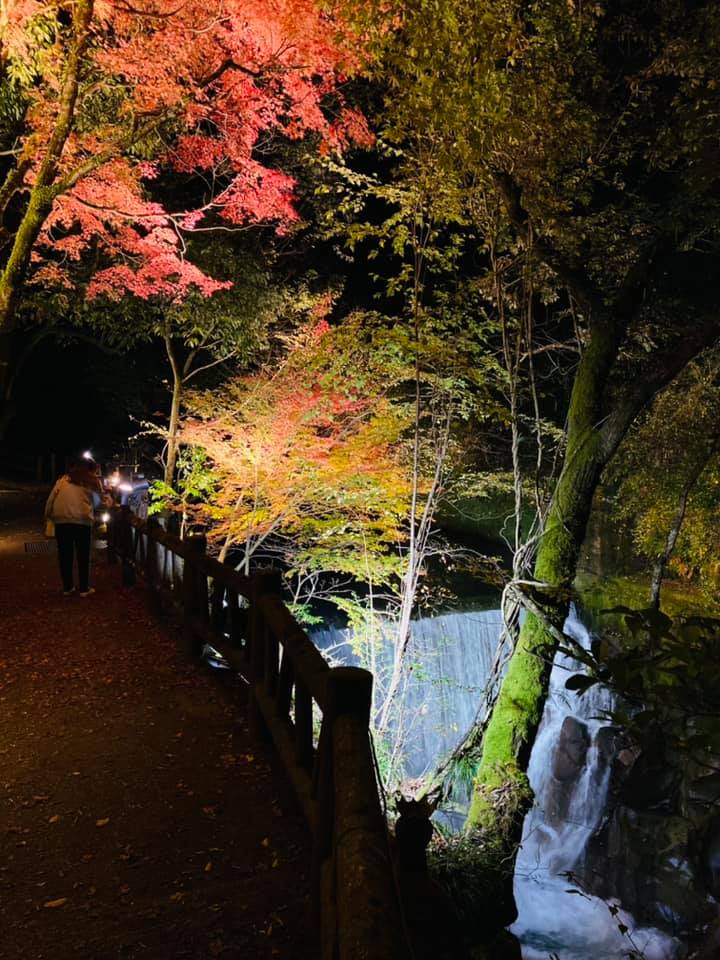 長田峡ライトアップ