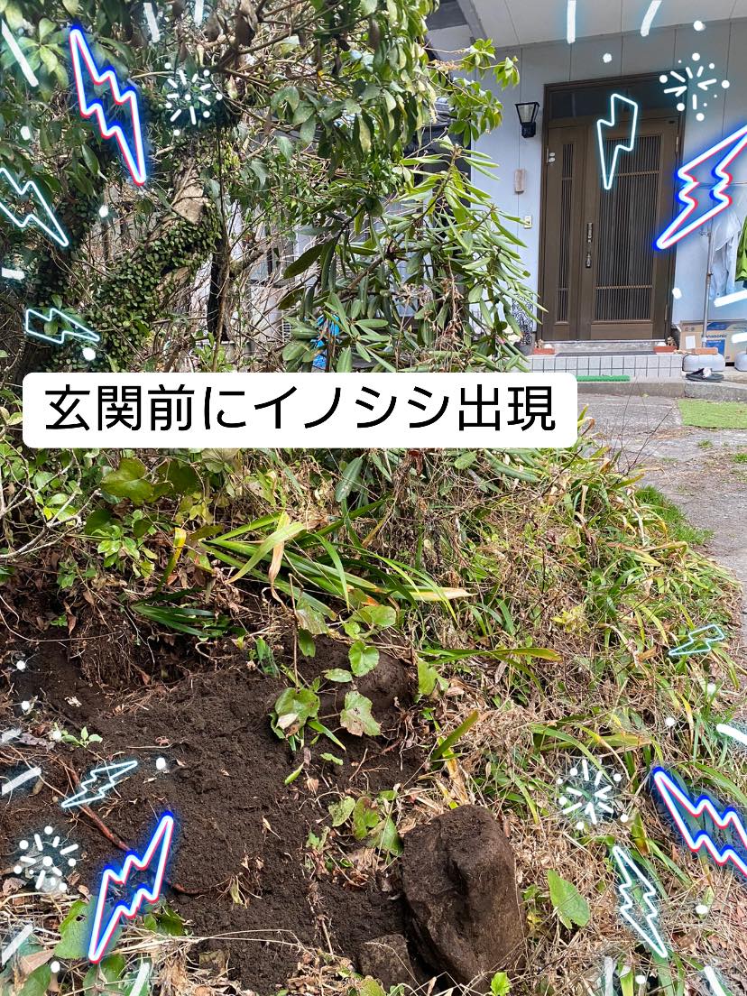 自然の中で生きてます