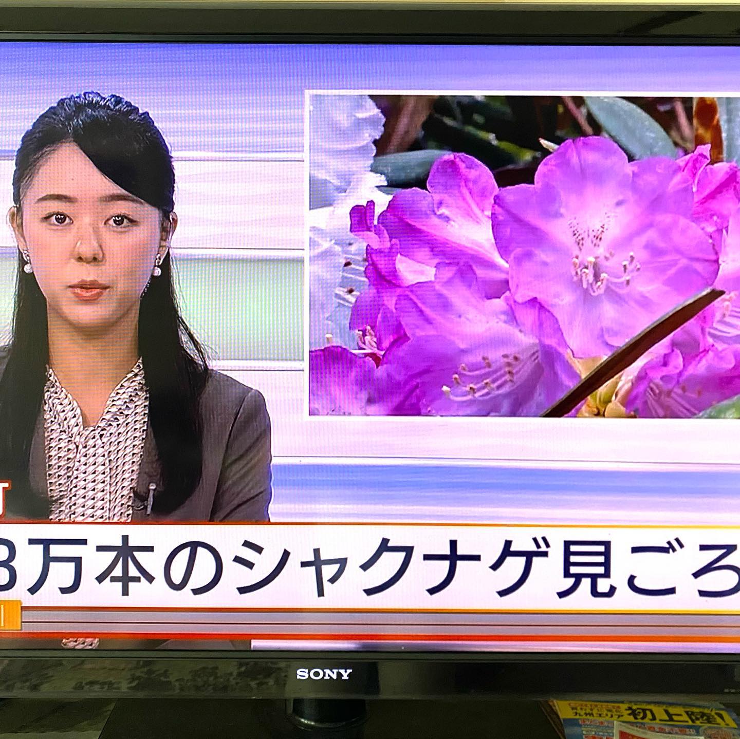 NHKで紹介されました