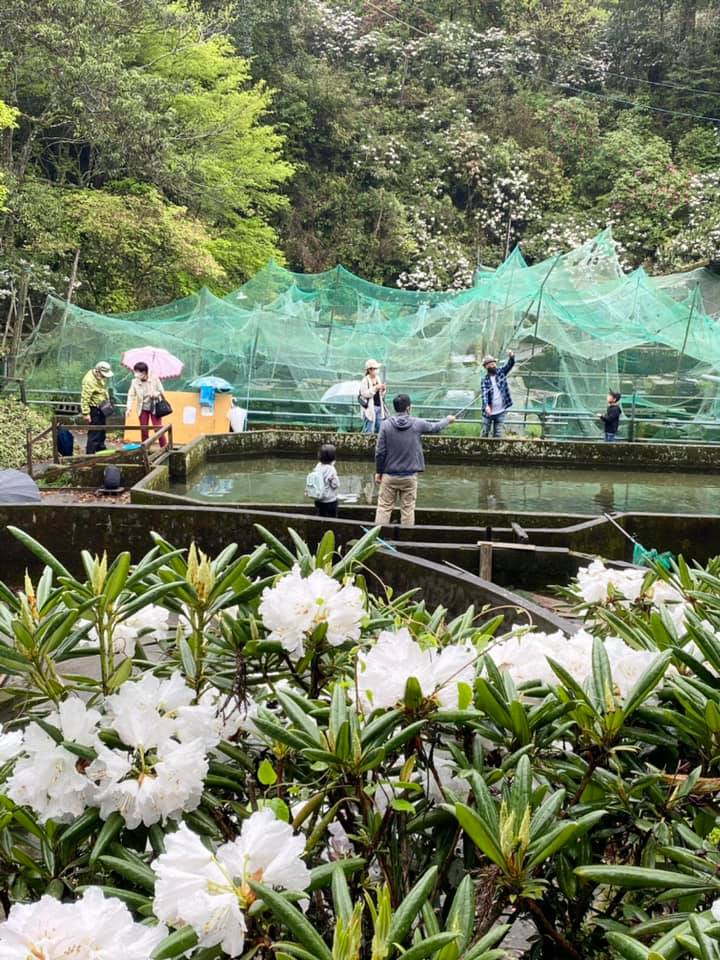 ヤマメ釣り営業中