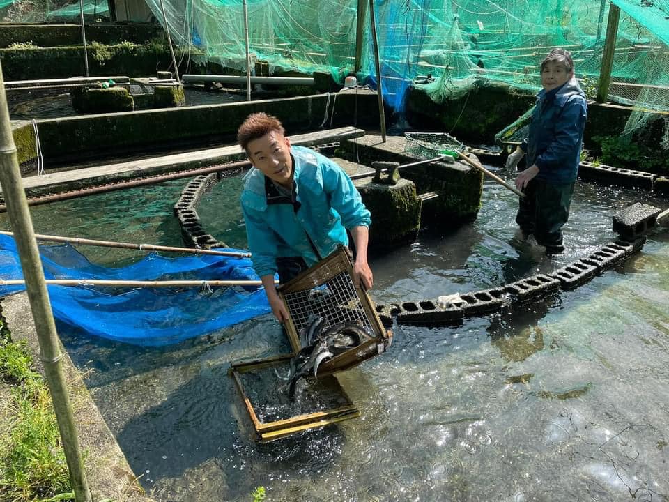 ヤマメ釣りオープンです