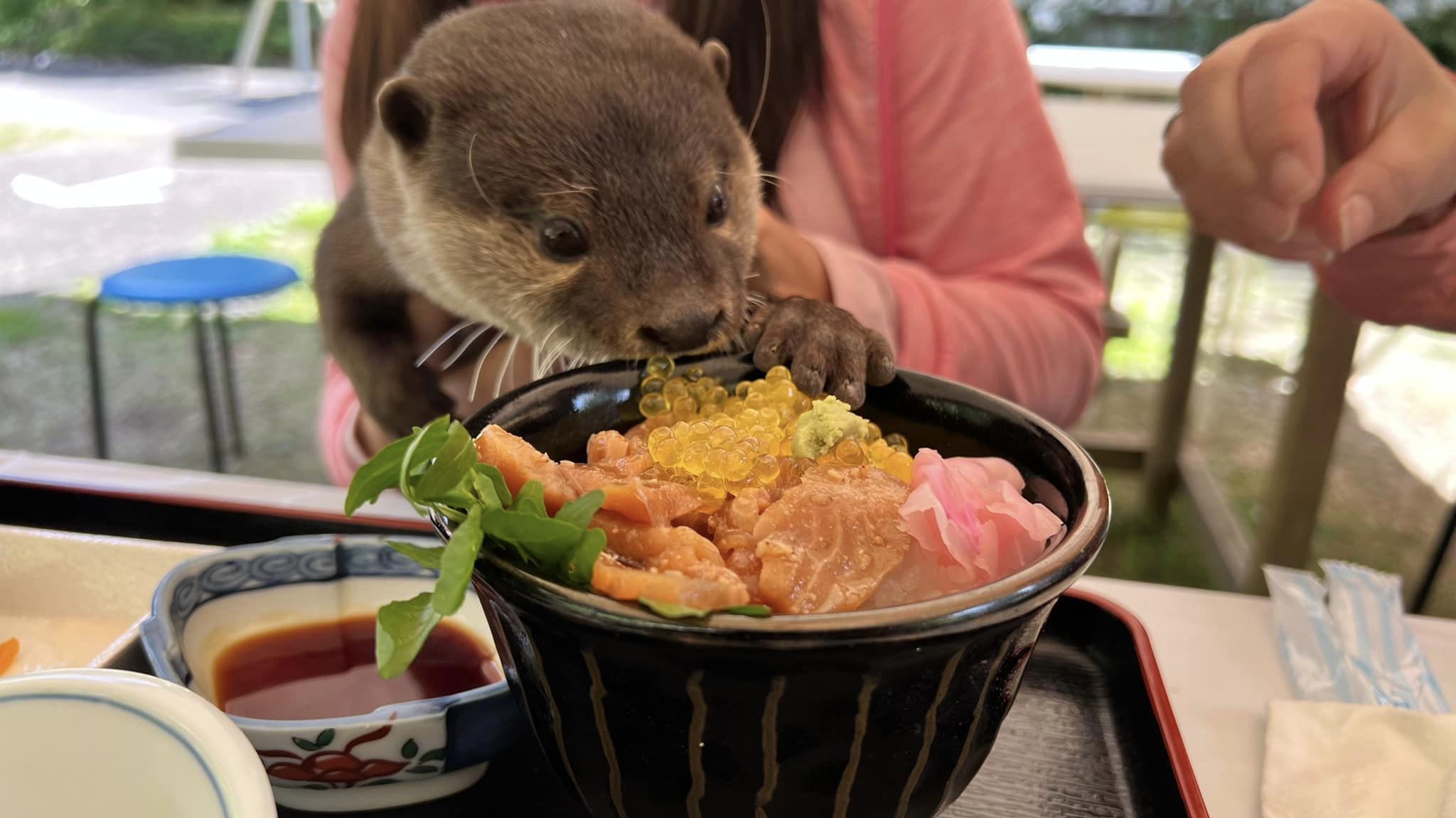 アティちゃんとウィちゃんご来園