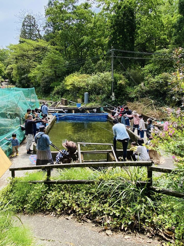 週末いよいよ春のヤマメ釣り開始