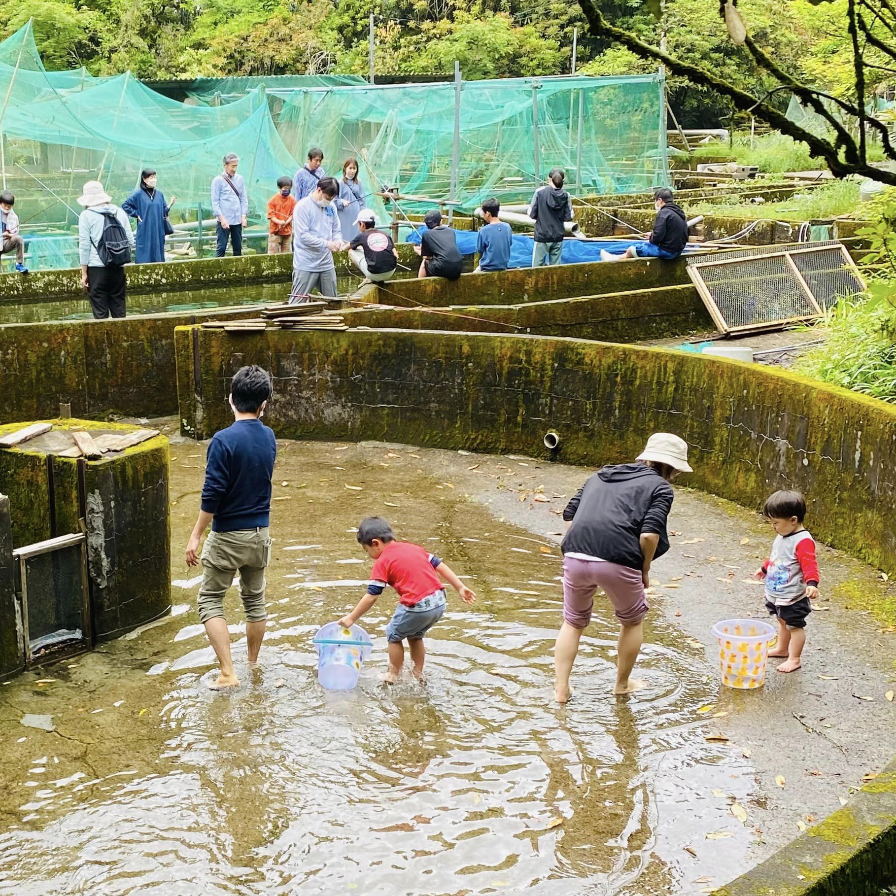 ヤマメ釣りとつかみどり